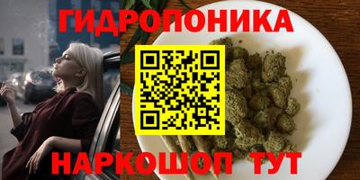бошки Будённовск