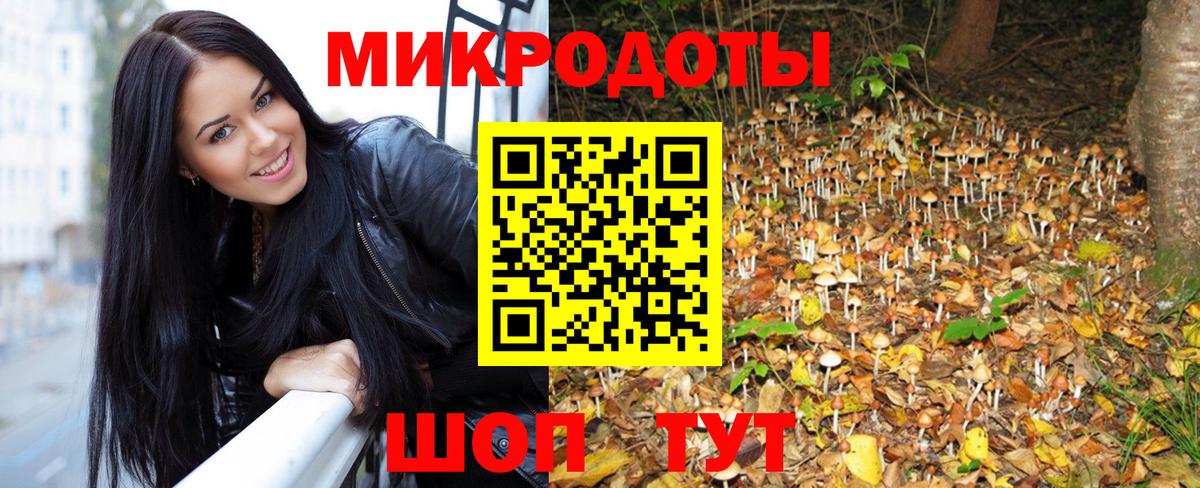 Галлюциногенные грибы MAGIC MUSHROOMS Конаково