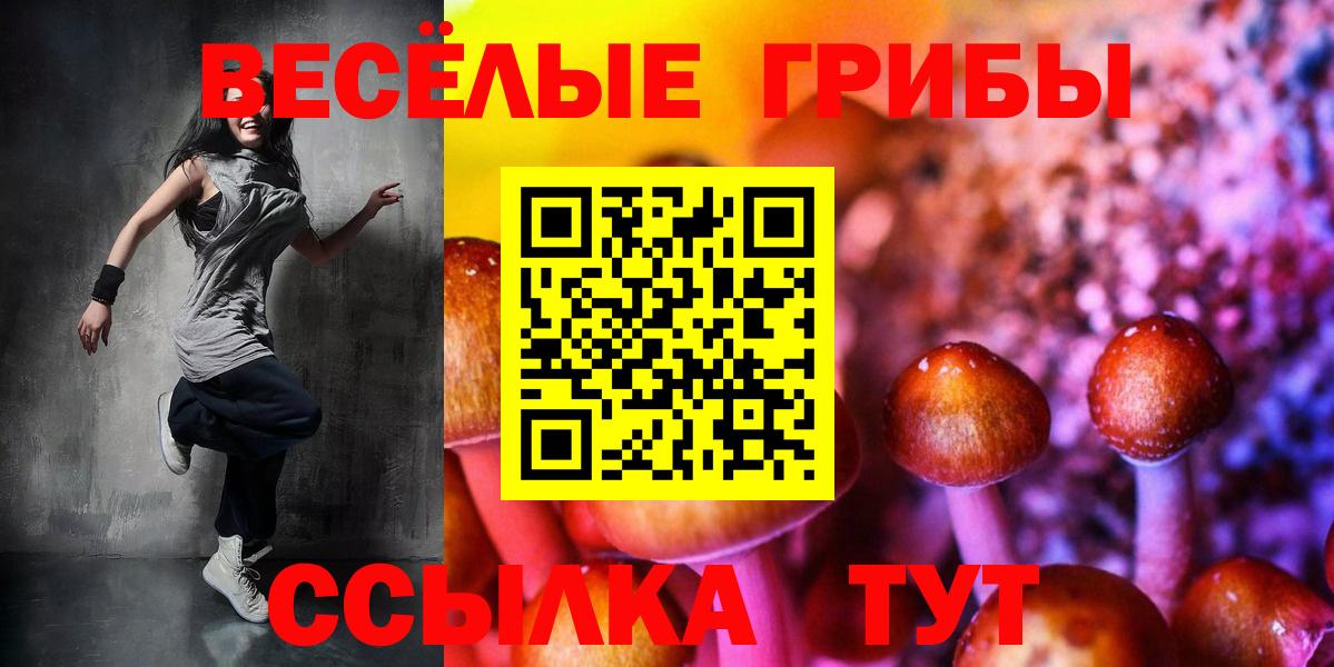 Конаково  Псилоцибиновые грибы Psilocybe  Вход с VPN 